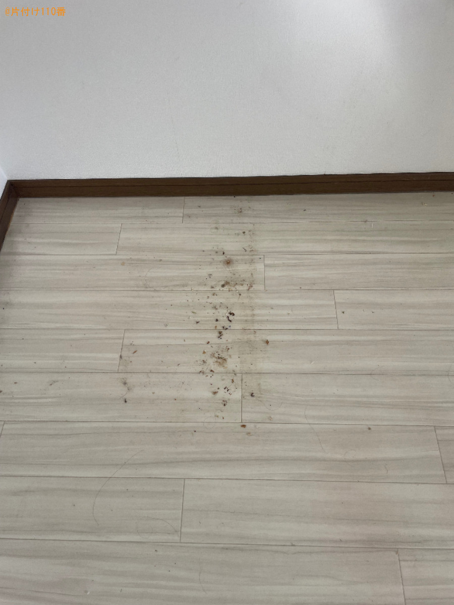 【浜松市中央区】フローリング洗浄とワックス仕上げ等ご依頼