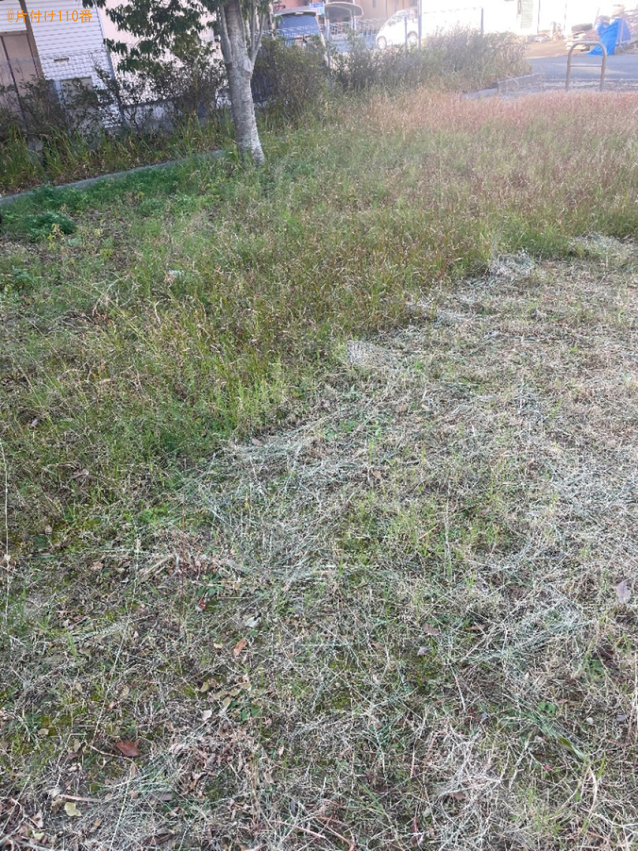 【浜松市中央区】草刈り作業ご依頼　お客様の声