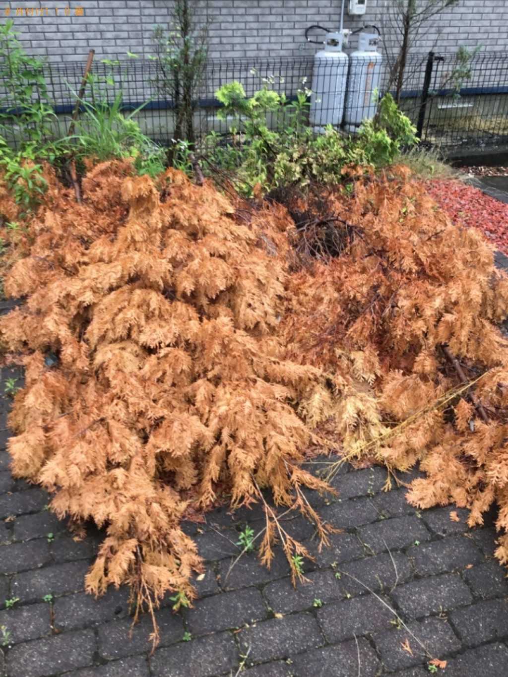 【大崎市】布団、扇風機、こたつ、ゴミ箱、観葉植物、ボール等の回収