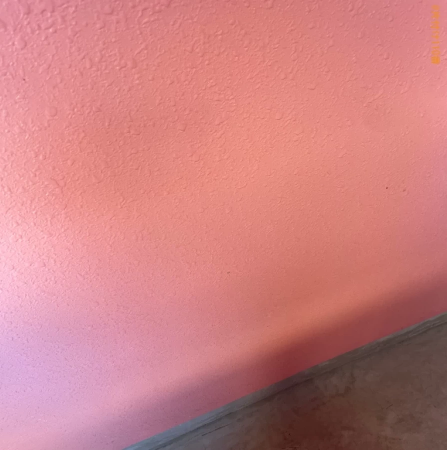 【青森市】ランニングマシン、カラーボックスの回収・処分ご依頼