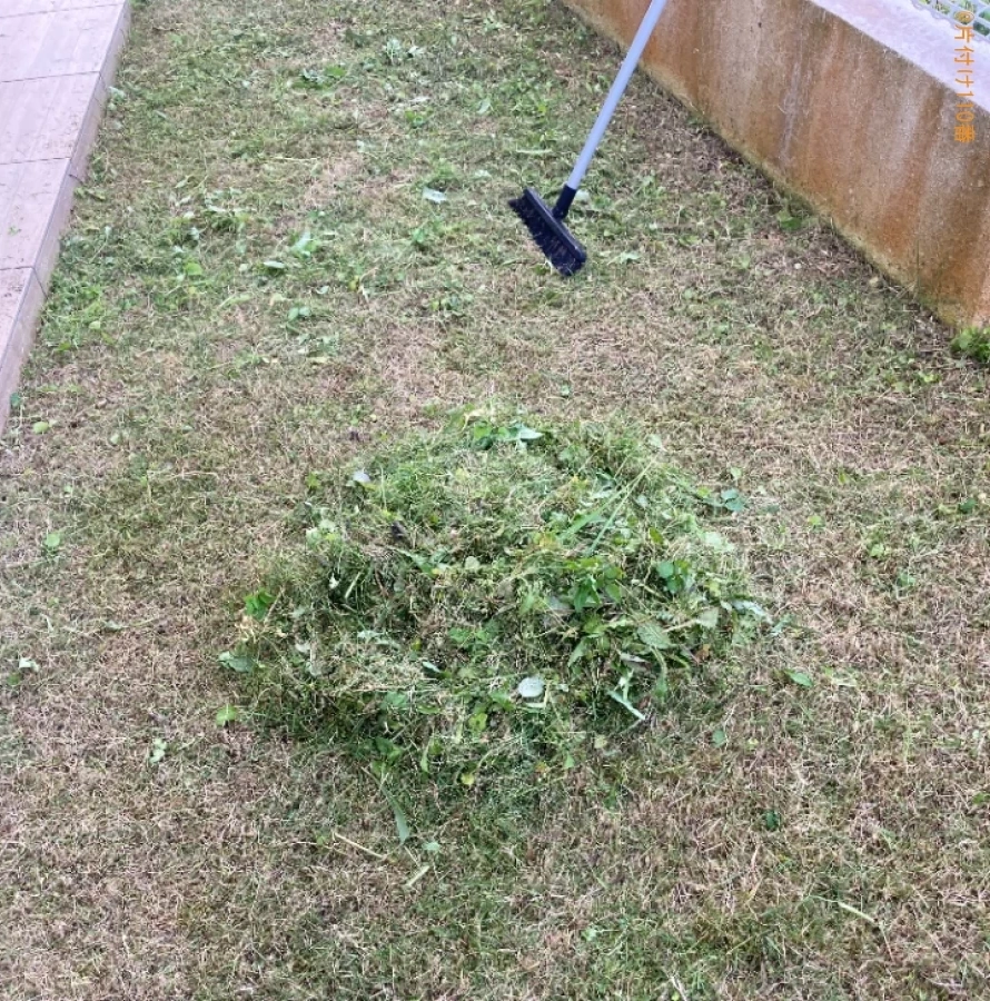 【国頭郡本部町】草刈り作業ご依頼 お客様の声