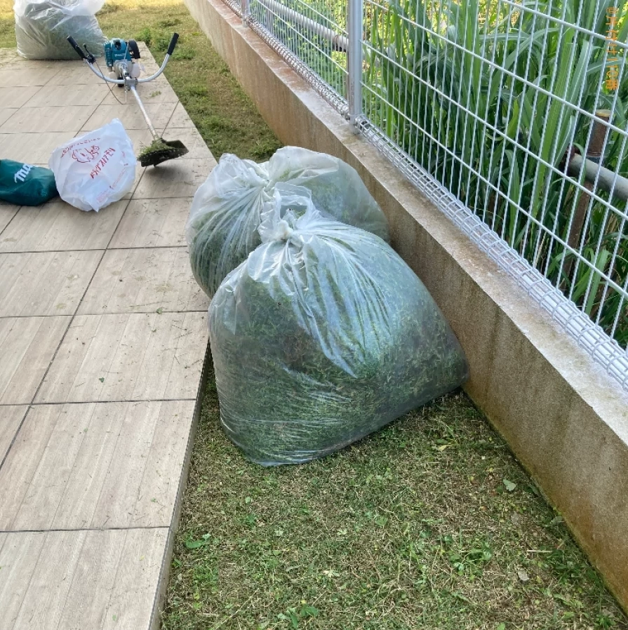 【国頭郡本部町】草刈り作業ご依頼 お客様の声