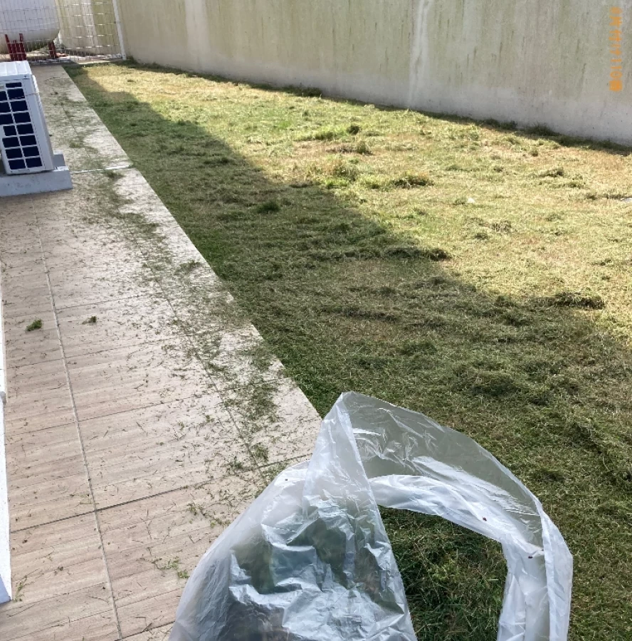 【国頭郡本部町】草刈り作業ご依頼 お客様の声