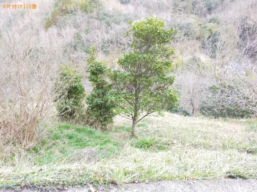 【井原市芳井町】畑の草刈り作業ご依頼　お客様の声