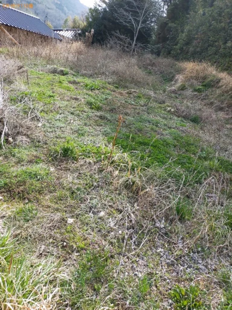 【井原市芳井町】畑の草刈り作業ご依頼　お客様の声