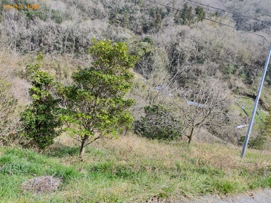 【井原市芳井町】畑の草刈り作業ご依頼　お客様の声