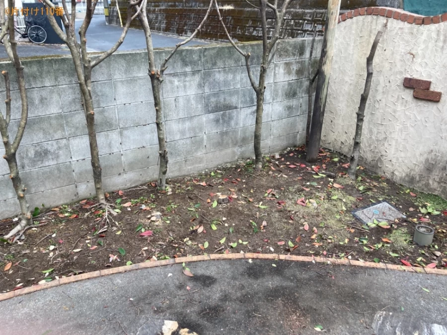 【鹿児島市】切った木の回収・処分ご依頼　お客様の声