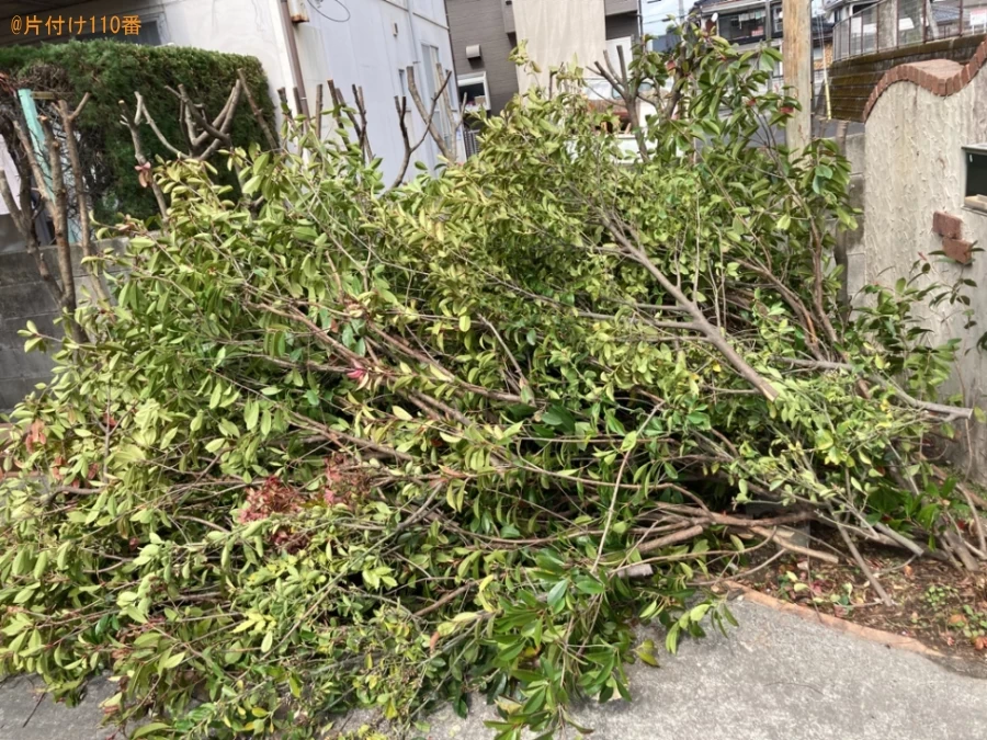 【鹿児島市】切った木の回収・処分ご依頼　お客様の声