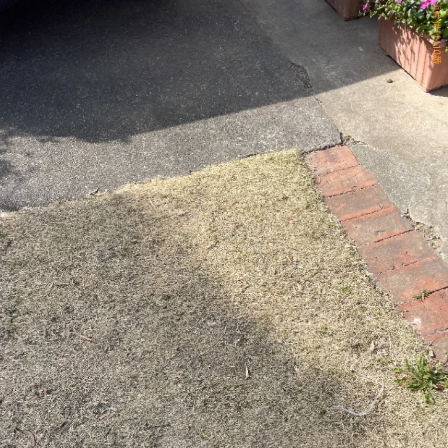 【浜松市中区】エレクトーンの回収・処分ご依頼　お客様の声