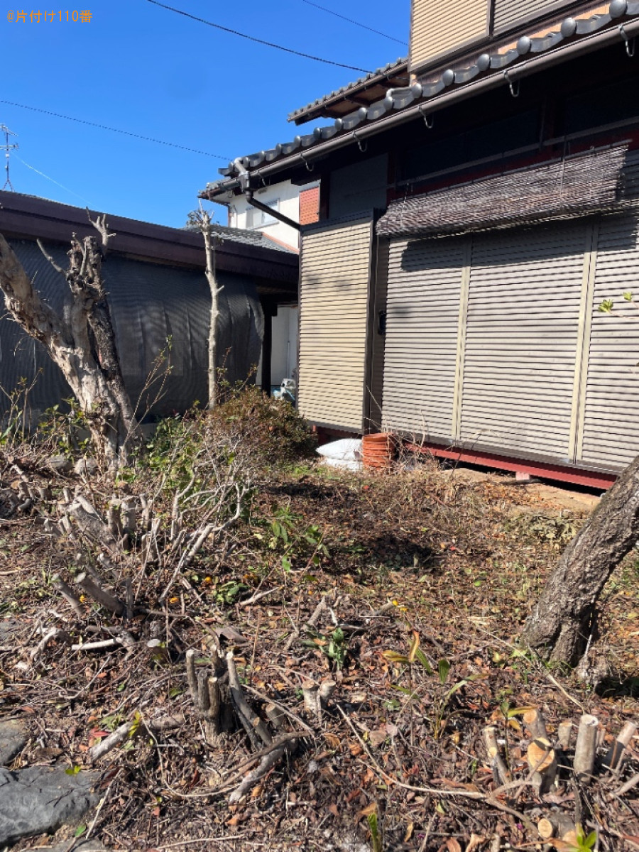 【東近江市】伐採済みの枝の回収・処分ご依頼　お客様の声