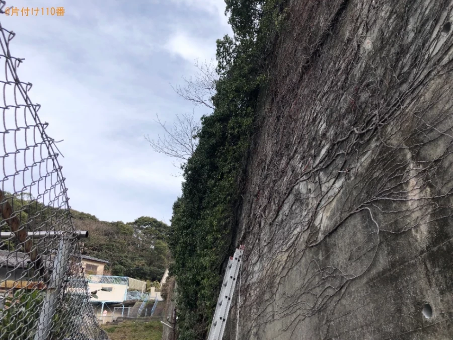 【北九州市小倉北区】草刈り作業ご依頼　お客様の声