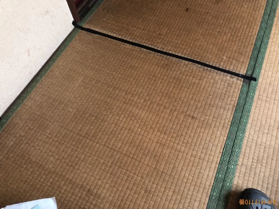 バルサンを炊いた後のゴキブリの死骸処理とハウスクリーニングご依頼