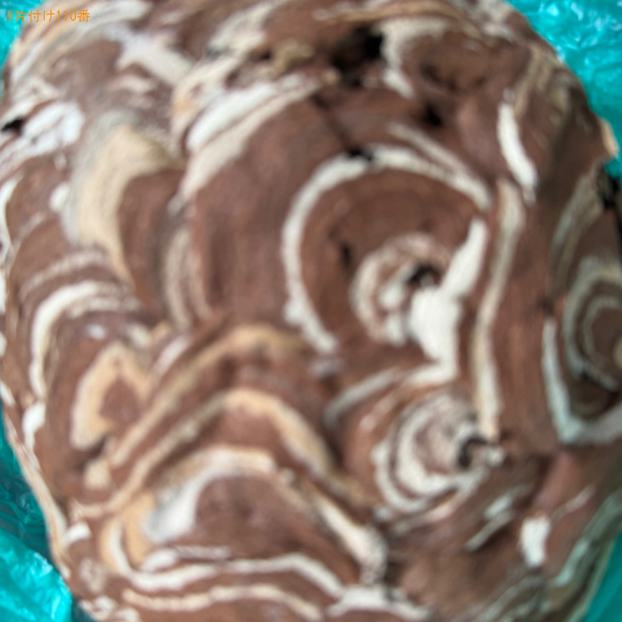 【青森市】スズメバチ駆除ご依頼　お客様の声