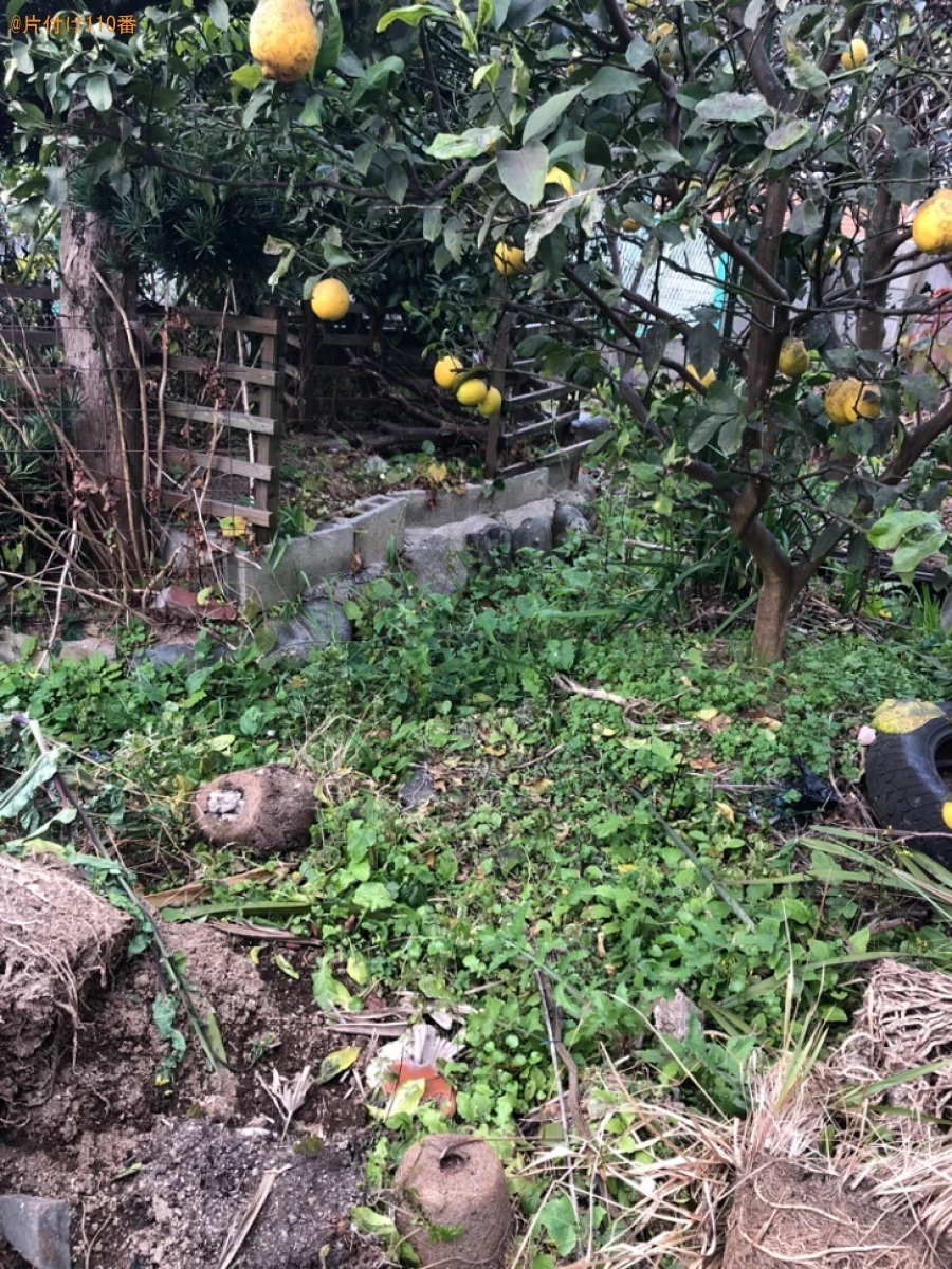 【北九州市小倉南区】枯れ葉、木、草の回収・処分ご依頼　お客様の声