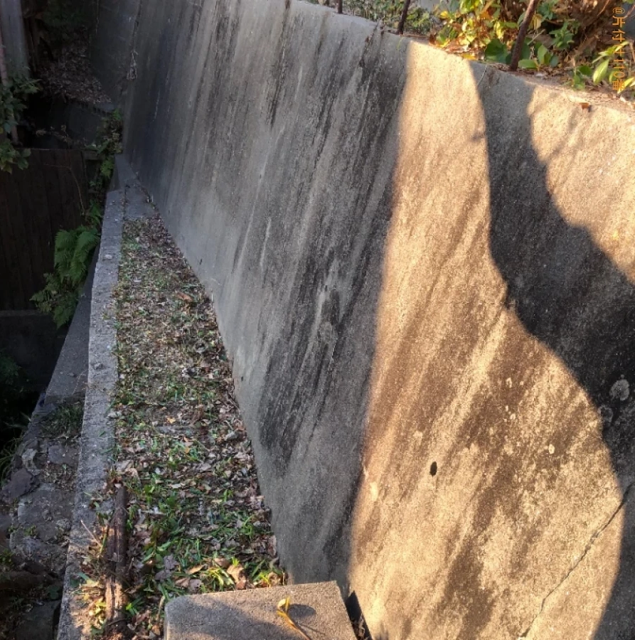 【下関市伊崎町】草抜き作業ご依頼　お客様の声