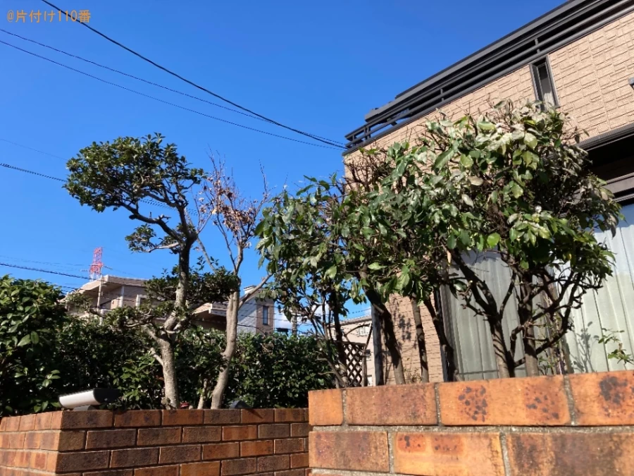 【大分市】木の剪定作業ご依頼　お客様の声