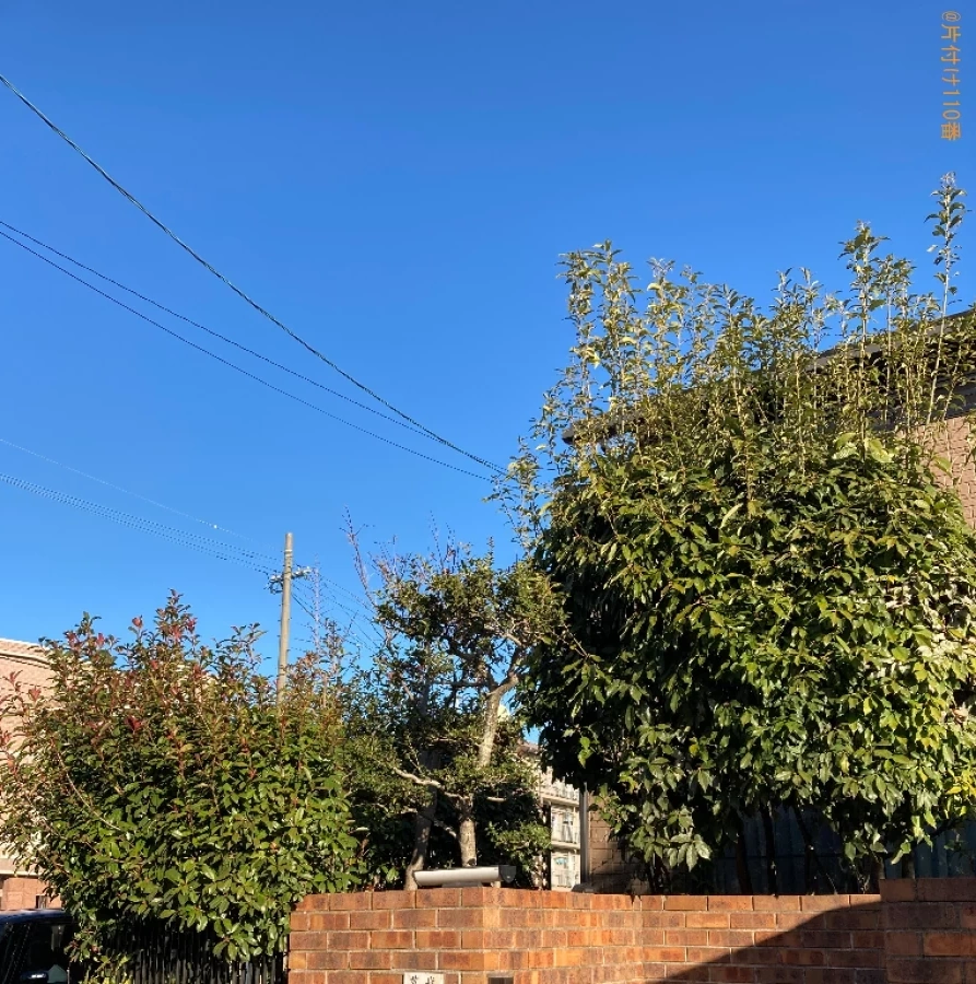 【大分市】木の剪定作業ご依頼　お客様の声