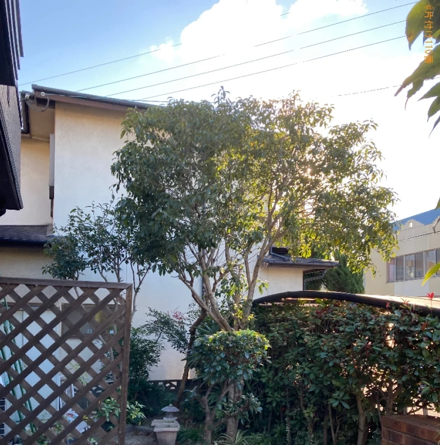 【大分市】木の剪定作業ご依頼　お客様の声