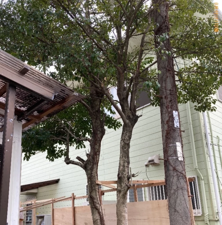 【大分市大路仲町】コンクリートブロックの回収と木の伐採作業ご依頼