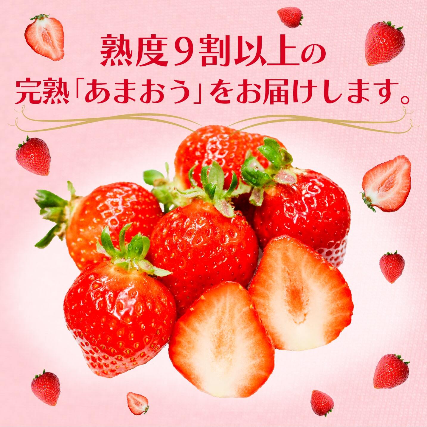 苺の王様あまおう3箱セット 1箱あたり約400g