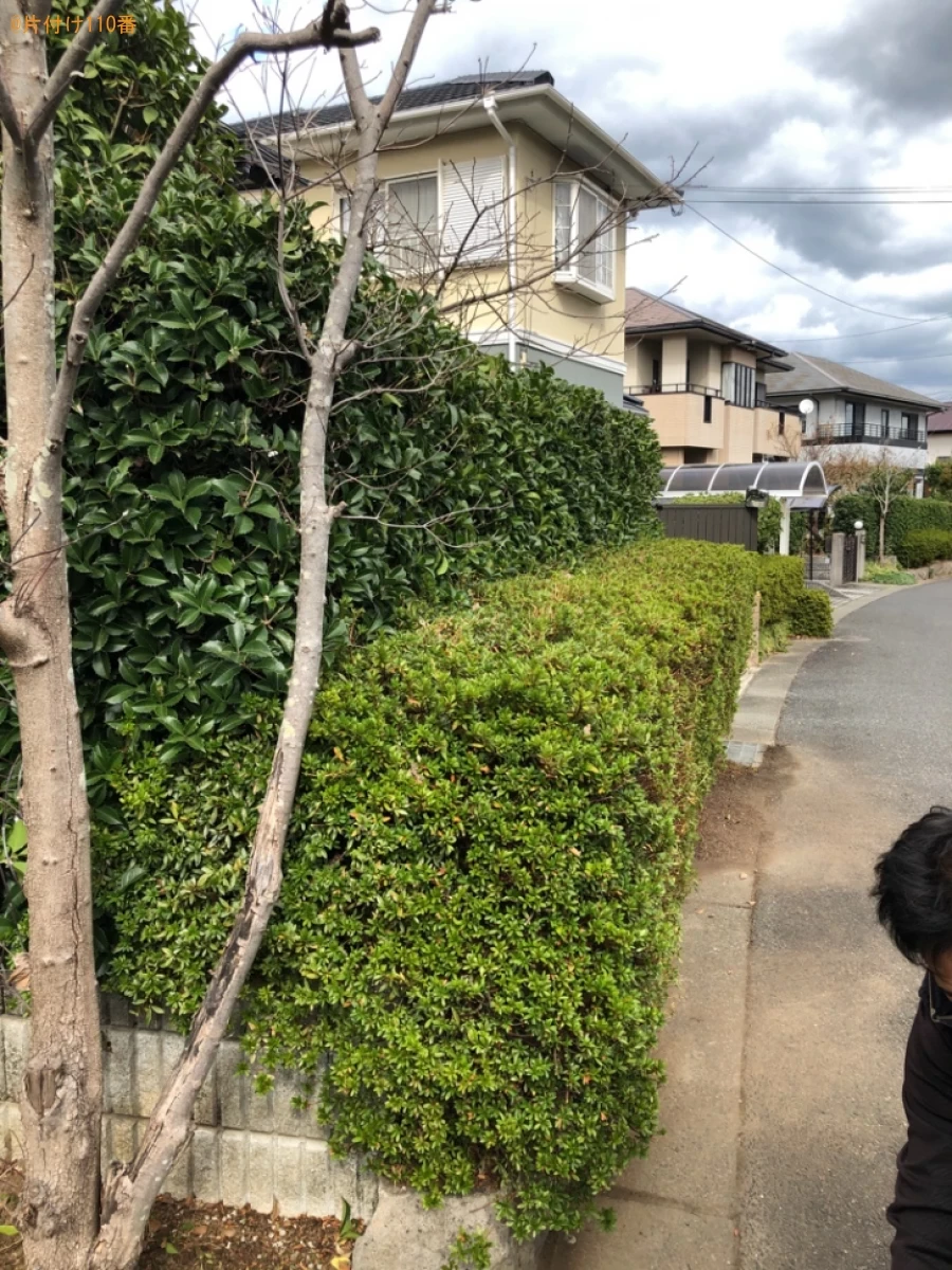 木・生垣の剪定作業ご依頼　お客様の声