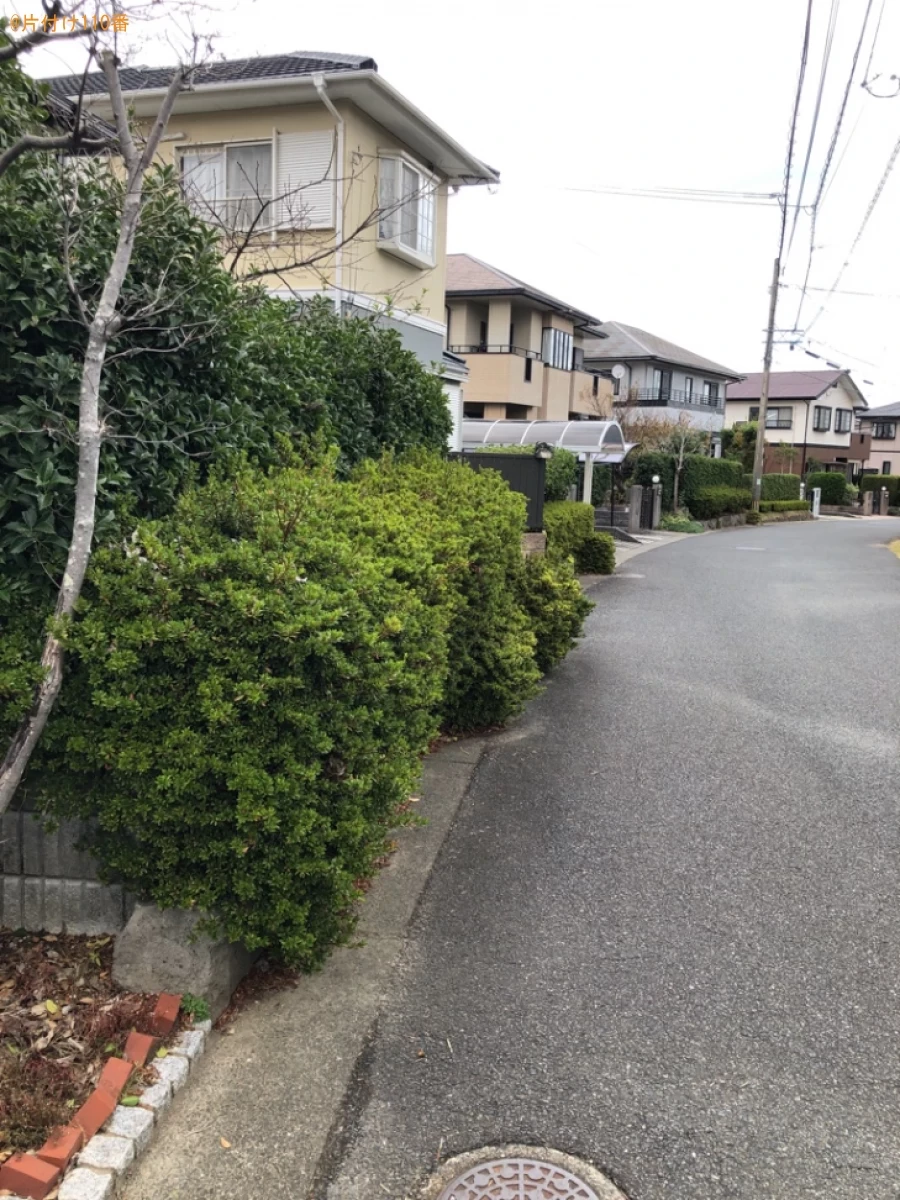 木・生垣の剪定作業ご依頼　お客様の声