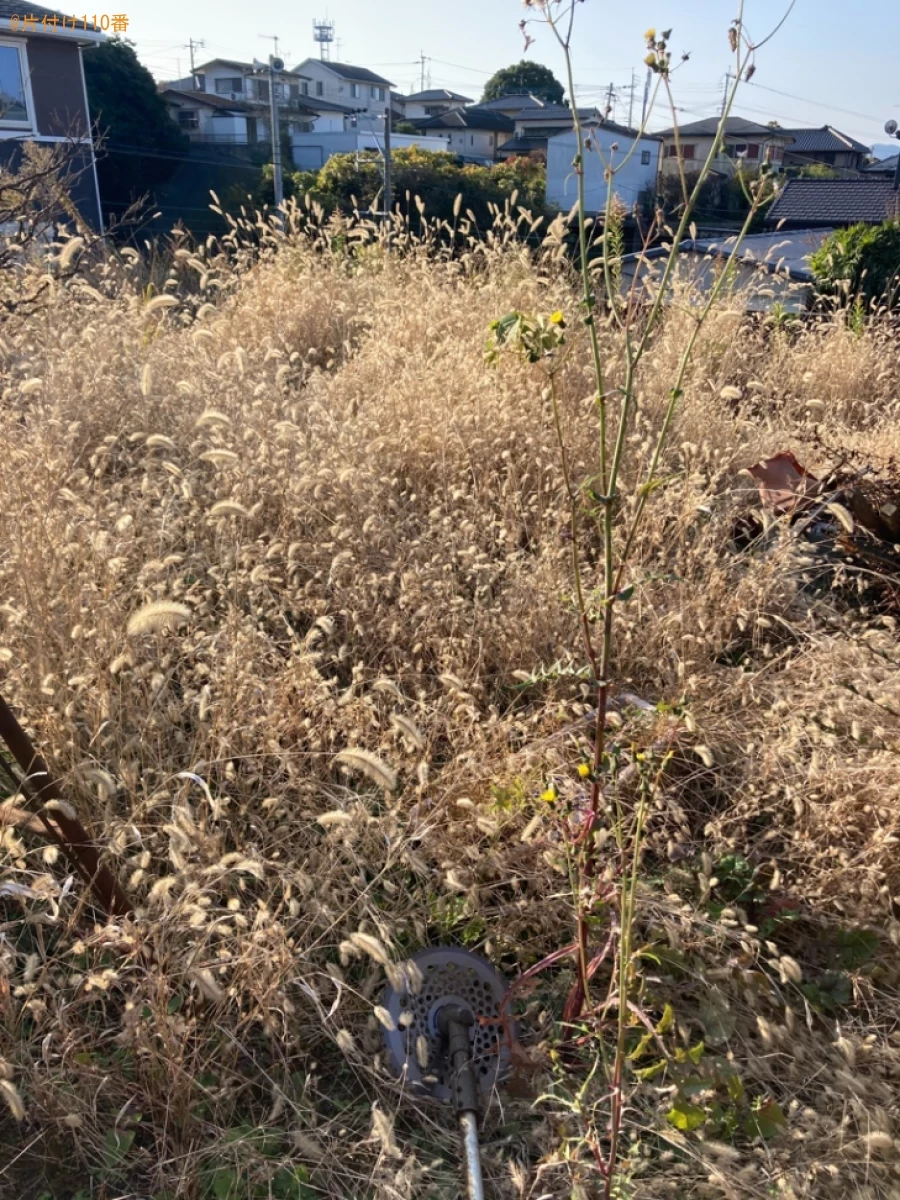 【中間市】草刈り作業ご依頼　お客様の声