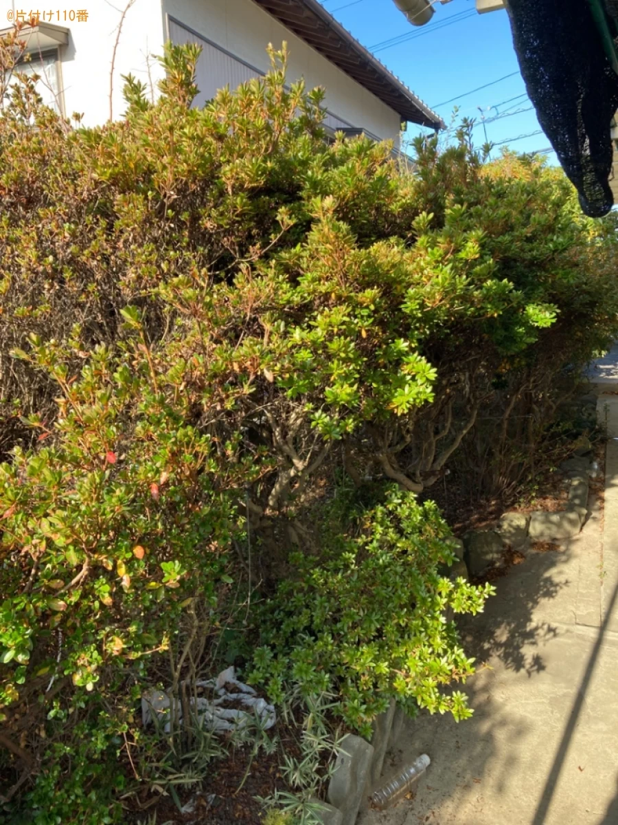 【中間市】草刈り作業ご依頼　お客様の声