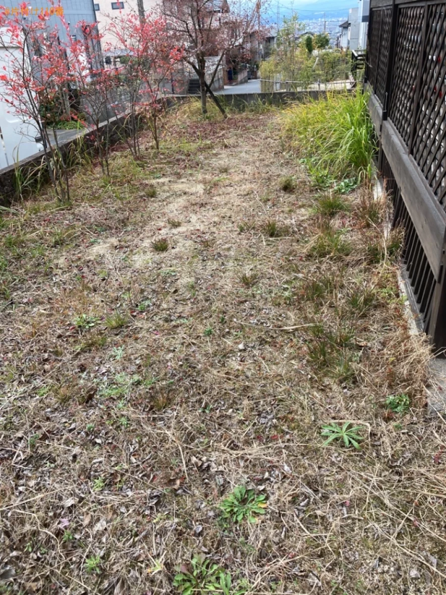 【大分市】草刈り作業ご依頼　お客様の声