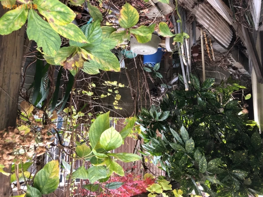 【北九州市門司区】草刈り作業と刈った草の回収・処分ご依頼