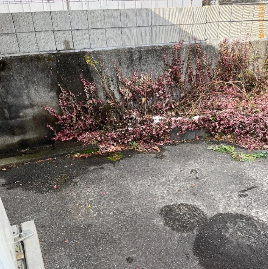 【大津市】冷蔵庫、扇風機、炊飯器、衣類収納ケース、机等の回収