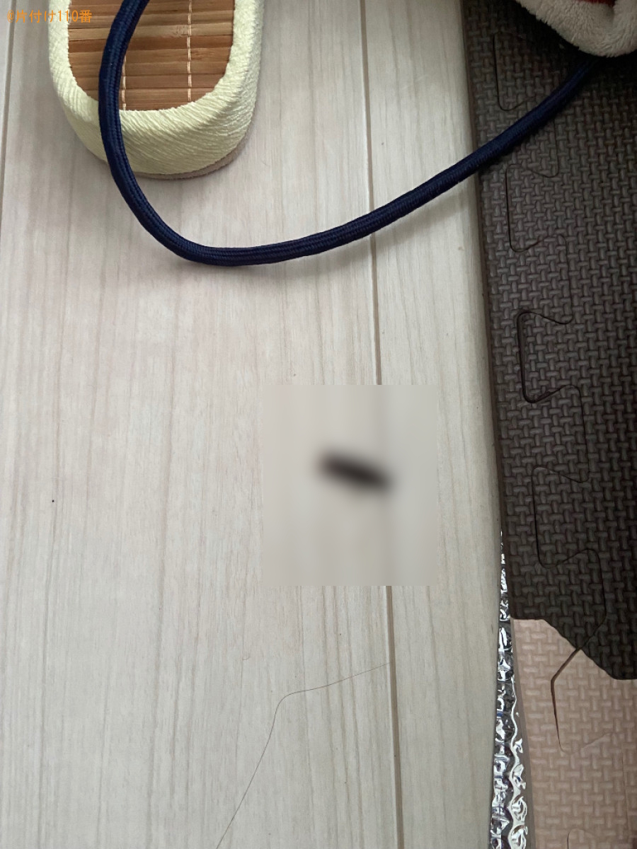 【青森市茶屋町】ゴキブリ駆除ご依頼　お客様の声
