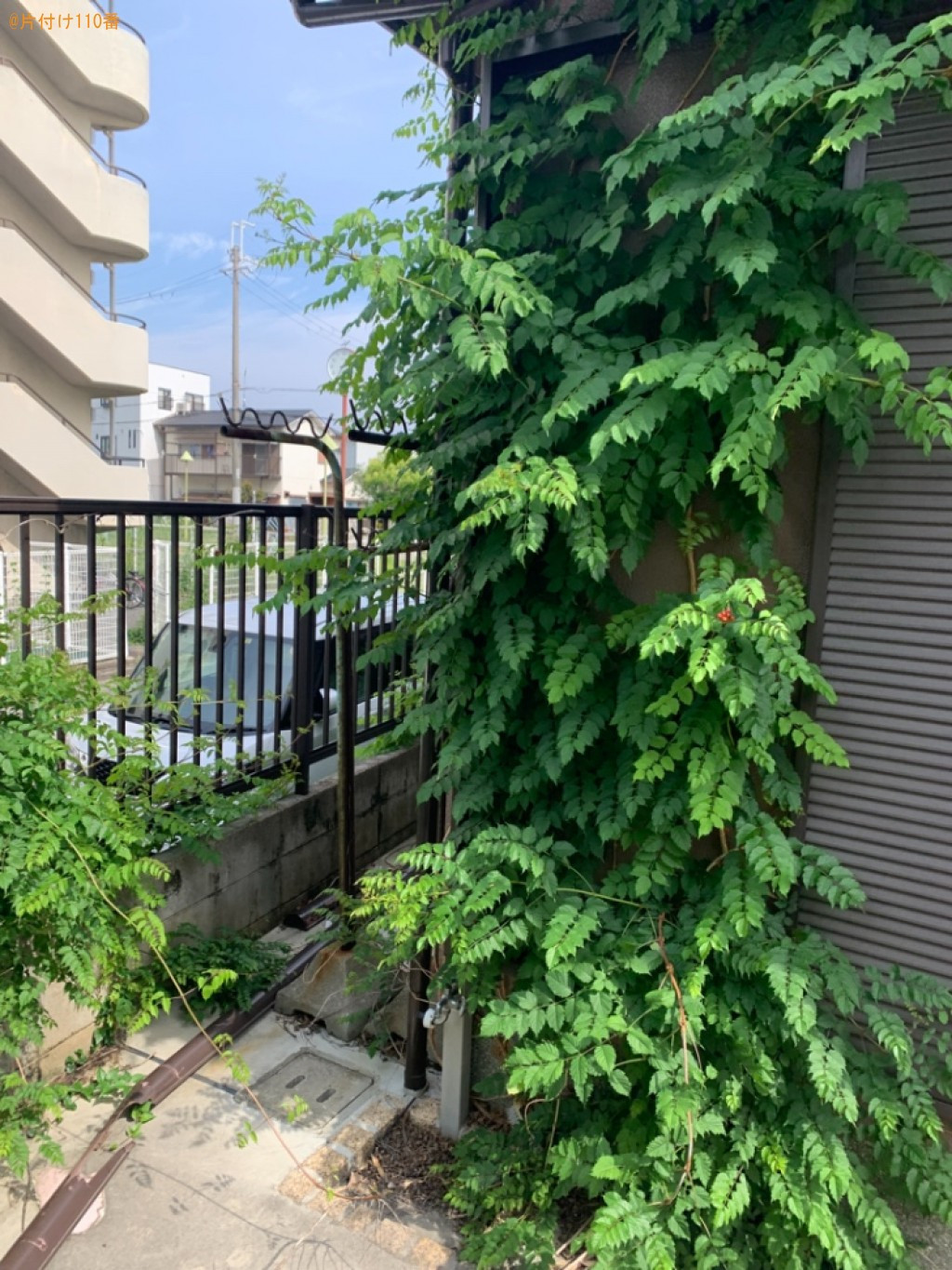 【堺市南区】草刈り作業ご依頼 お客様の声