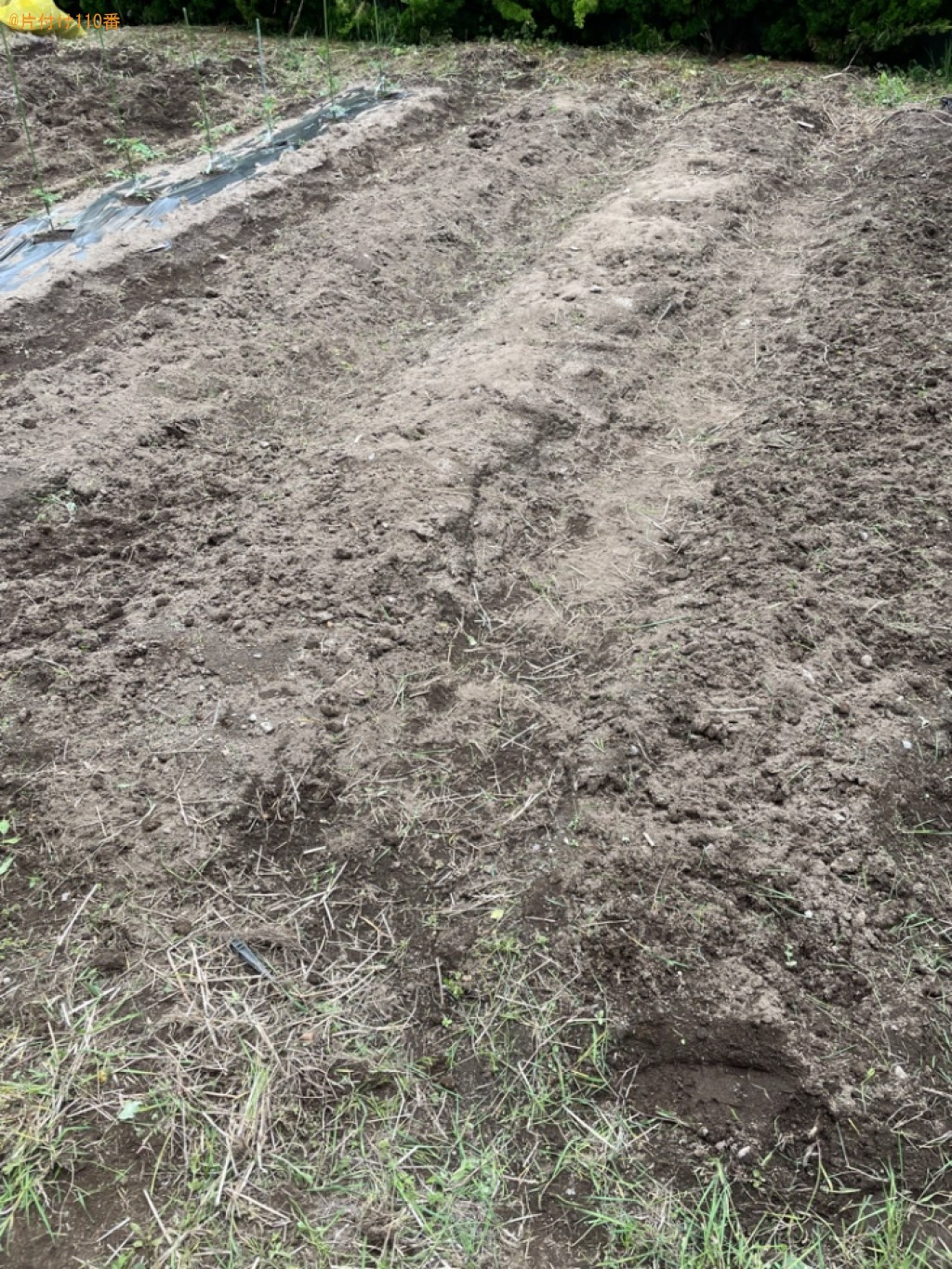 【青森市】畑の草むしり作業ご依頼　お客様の声