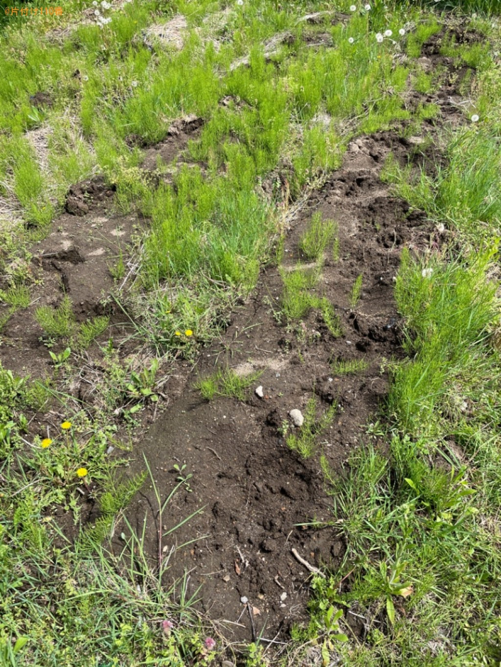【青森市】畑の草むしり作業ご依頼　お客様の声