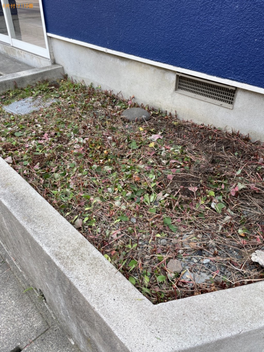 【青森市】草刈りと刈った草の処分ご依頼　お客様の声