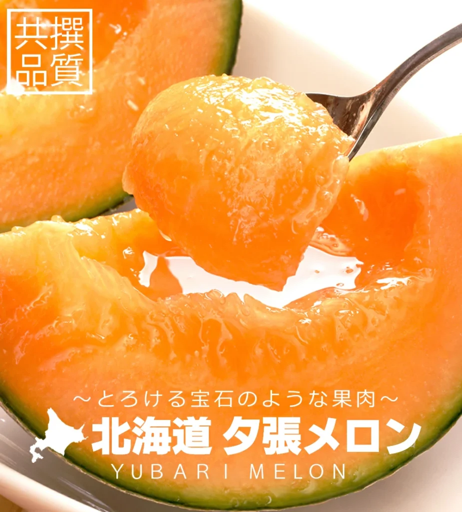 【限定2名さま】北海道夕張産 夕張メロン