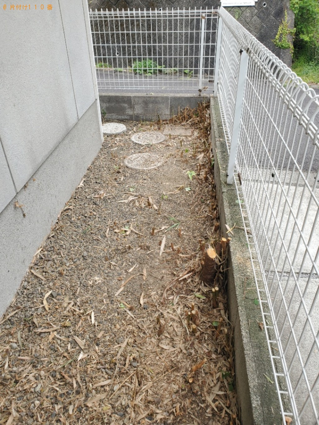 【別府市】物置の回収・処分ご依頼と草抜き作業ご依頼 お客様の声