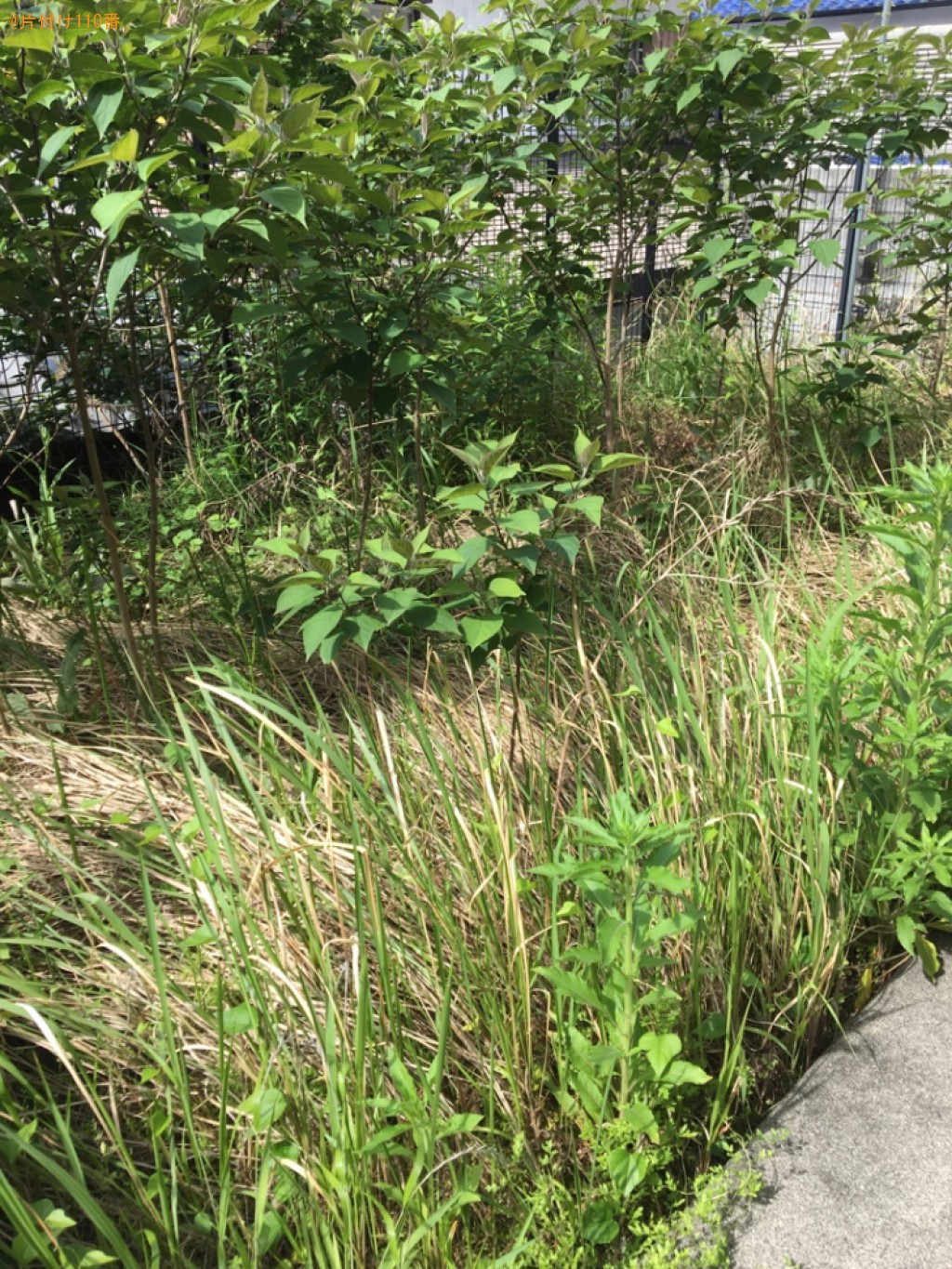 【岐阜市長森本町】草刈り作業ご依頼　お客様の声