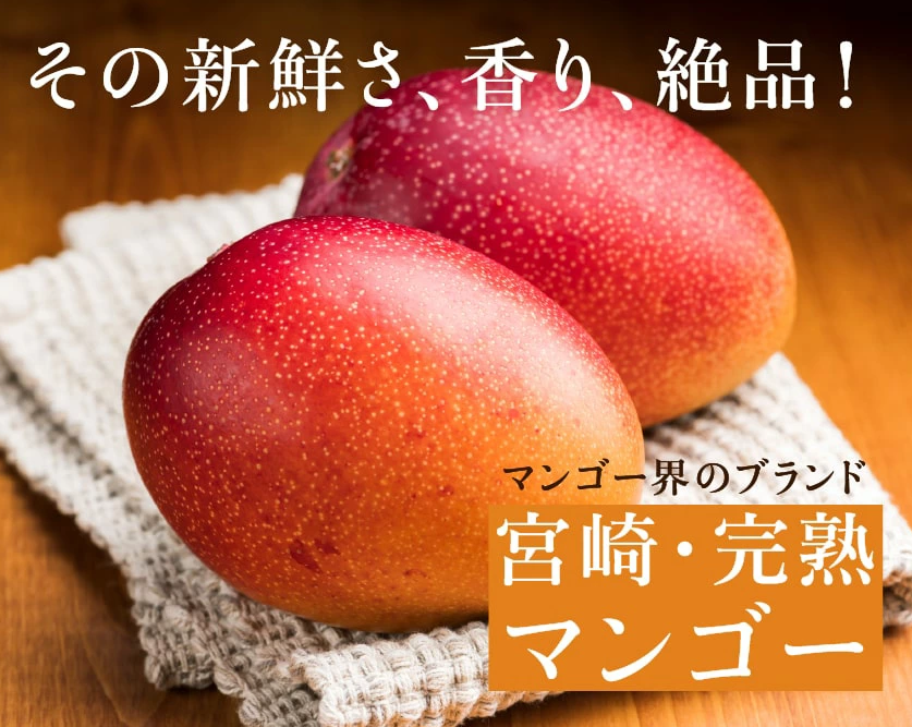 【限定1名さま】宮崎完熟マンゴー中玉10玉入り