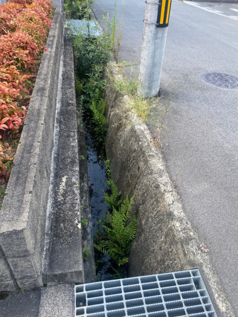 【奈良市】草抜き作業ご依頼 お客様の声