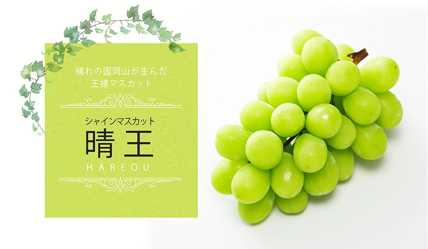 岡山県産シャインマスカット晴王2房（700g×2）