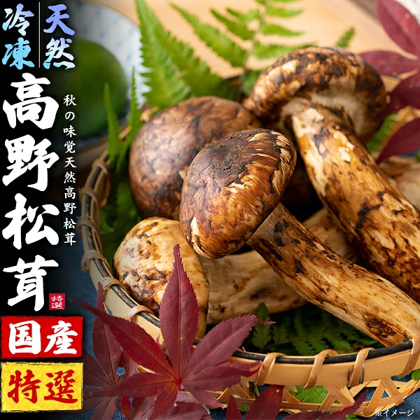 【限定1名さま】国産松茸180g