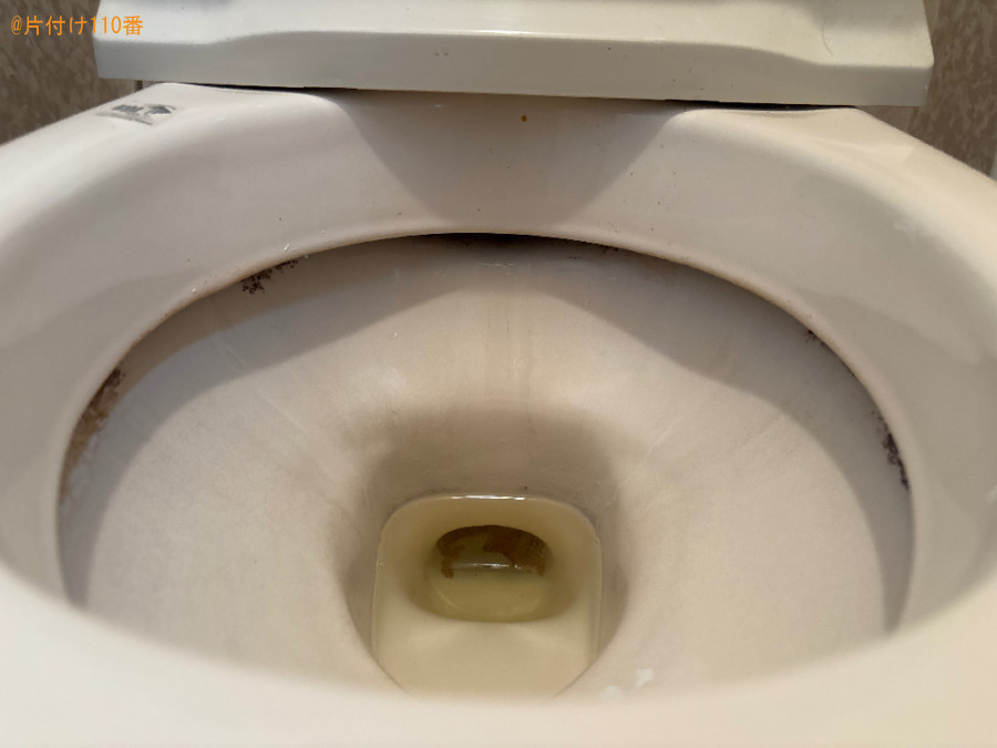 【羽生市】洋式トイレクリーニングのご依頼　お客様の声