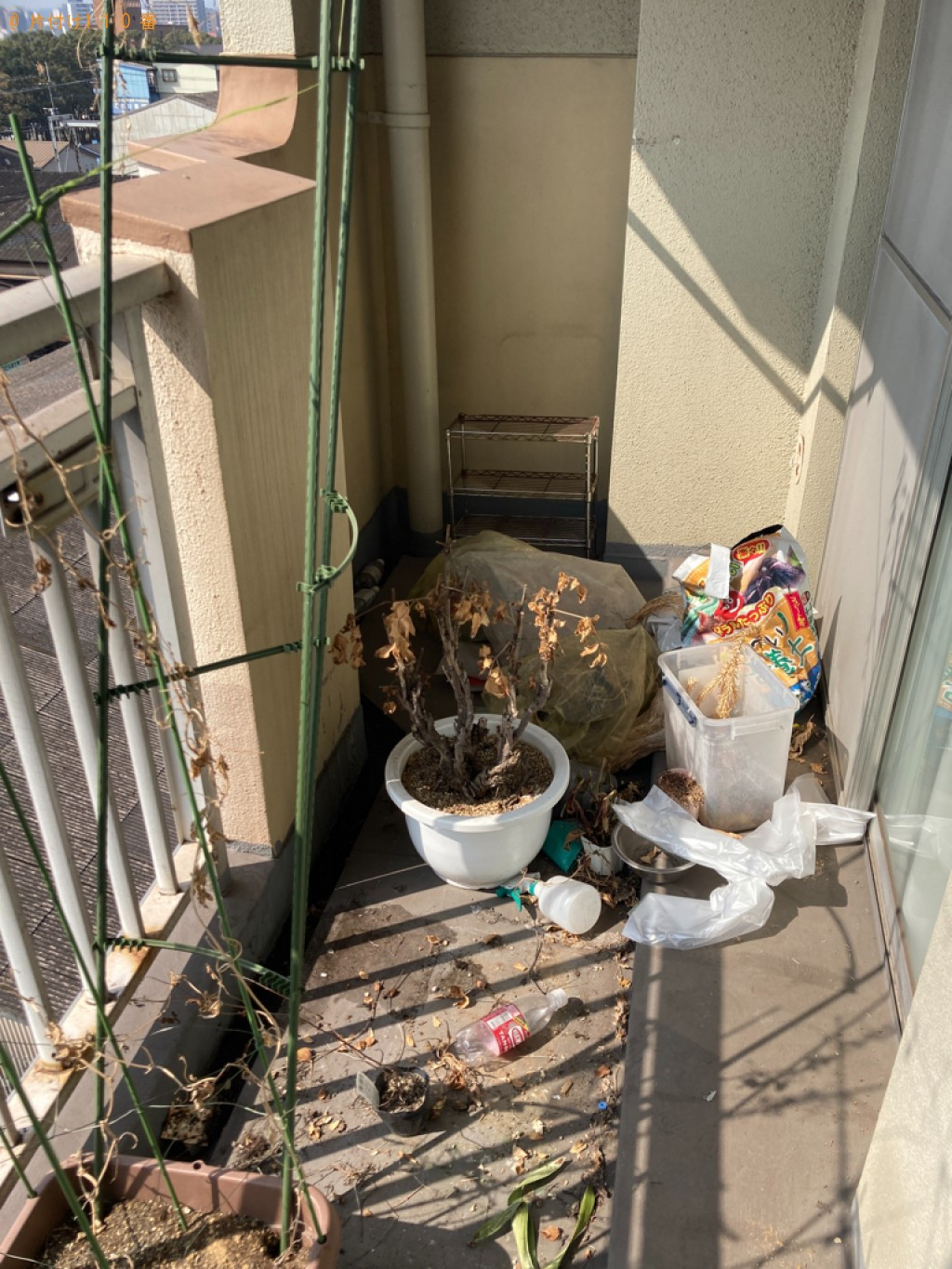 【大分市】スチールラック、鉢植え、ラック、一般ごみ等の回収・処分