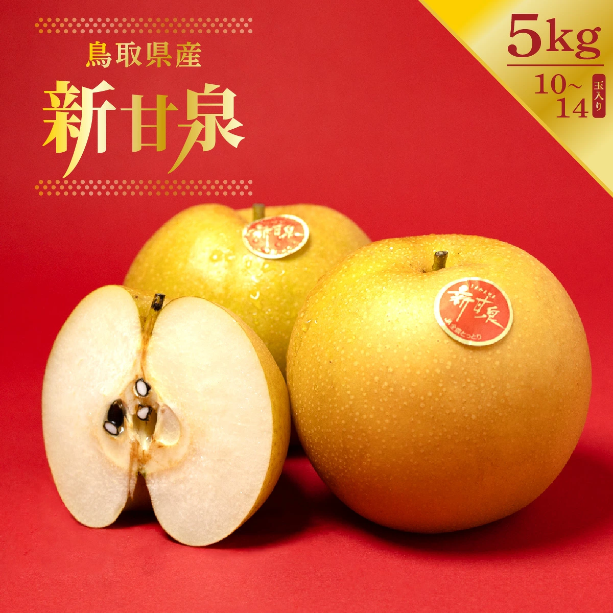 鳥取県産ブランド梨『新甘泉』5kg（10玉～14玉 ）